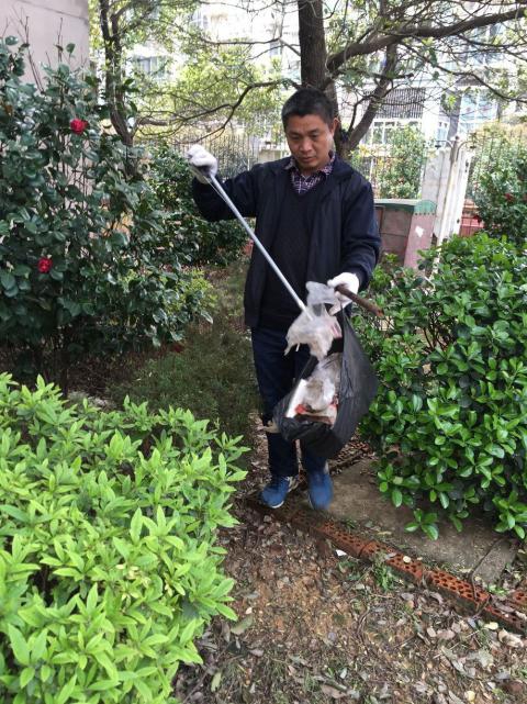 控制鼠害、預防疾病，構建和諧文明社區(qū)